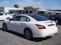 Winter Frost White - Maxima 3.5 SV Photo No. 2