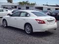 Winter Frost White - Maxima 3.5 SV Photo No. 2