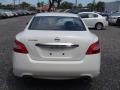 Winter Frost White - Maxima 3.5 SV Photo No. 3