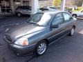 2004 Pewter Gray Kia Rio Sedan  photo #2