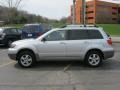 Munich Silver Metallic - Outlander LS 4WD Photo No. 11