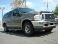 Mineral Gray Metallic 2002 Ford Excursion Limited