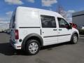 Frozen White 2010 Ford Transit Connect XLT Cargo Van Exterior