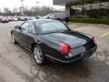 Evening Black 2002 Ford Thunderbird Premium Roadster Exterior
