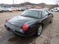 Evening Black 2002 Ford Thunderbird Premium Roadster Exterior