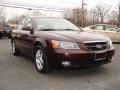 Dark Cinnamon - Sonata GLS V6 Photo No. 3