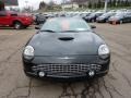 Evening Black - Thunderbird Premium Roadster Photo No. 10