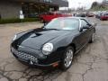 Evening Black 2002 Ford Thunderbird Premium Roadster Exterior