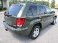 Jeep Green Metallic - Grand Cherokee Laredo Photo No. 7