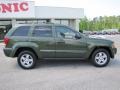 Jeep Green Metallic - Grand Cherokee Laredo Photo No. 8