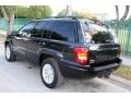 2004 Brillant Black Crystal Pearl Jeep Grand Cherokee Limited 4x4  photo #7