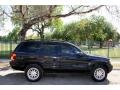 2004 Brillant Black Crystal Pearl Jeep Grand Cherokee Limited 4x4  photo #11