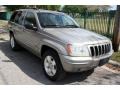 2001 Silverstone Metallic Jeep Grand Cherokee Limited 4x4  photo #13