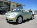 Gecko Green - New Beetle SE Convertible Photo No. 1