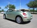 Gecko Green - New Beetle SE Convertible Photo No. 3