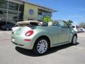 Gecko Green - New Beetle SE Convertible Photo No. 5