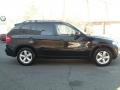 Jet Black - X5 3.0si Photo No. 4