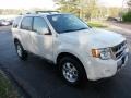 2009 White Suede Ford Escape Limited V6 4WD  photo #1