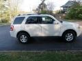 2009 White Suede Ford Escape Limited V6 4WD  photo #2