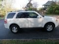 2009 White Suede Ford Escape Limited V6 4WD  photo #3