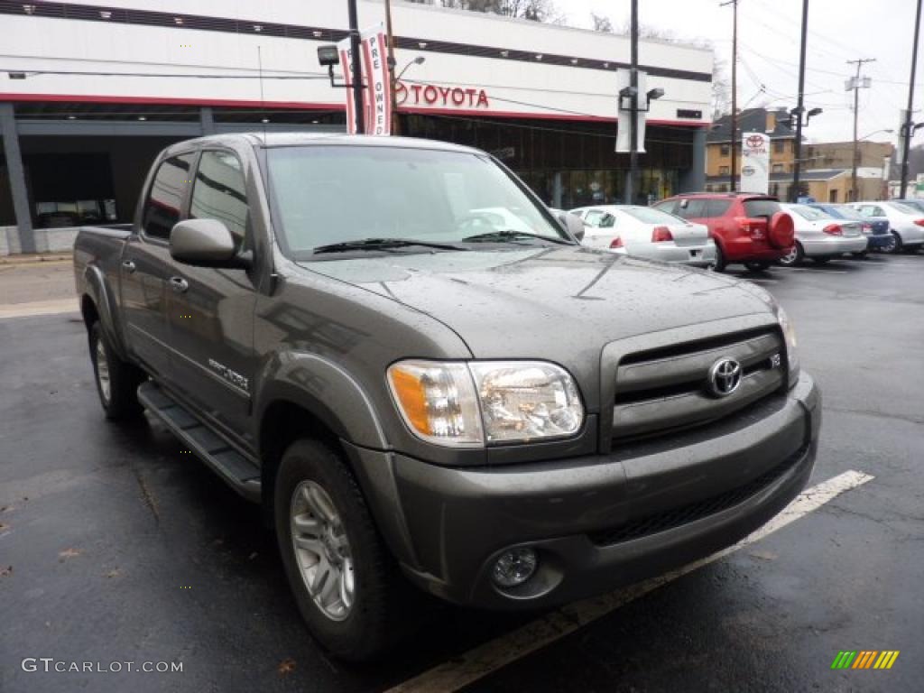 2005 Tundra Limited Double Cab 4x4 - Phantom Gray Pearl / Taupe photo #6