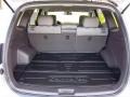 Gray Trunk Photo for 2011 Hyundai Santa Fe #48029864