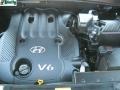 Ebony Black - Santa Fe GLS 4WD Photo No. 15