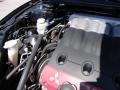 Kalapana Black Satin - Eclipse GT Coupe Photo No. 20