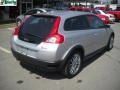 Electric Silver Metallic - C30 T5 Version 1.0 Photo No. 3