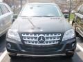 Black - ML 350 4Matic Photo No. 2