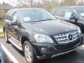 Black - ML 350 4Matic Photo No. 3
