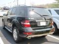 Black - ML 350 4Matic Photo No. 8