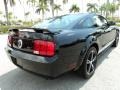 2005 Black Ford Mustang V6 Premium Coupe  photo #6