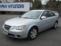 Radiant Silver - Sonata GLS Photo No. 1