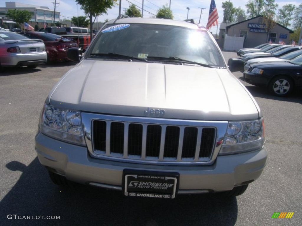 2004 Grand Cherokee Limited 4x4 - Light Pewter Metallic / Taupe photo #9