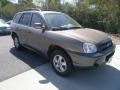 2005 Mocha Frost Beige Hyundai Santa Fe GLS  photo #7