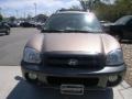 2005 Mocha Frost Beige Hyundai Santa Fe GLS  photo #8