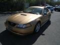 2000 Sunburst Gold Metallic Ford Mustang GT Coupe  photo #1