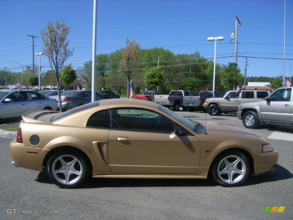 Sunburst Gold Metallic 2000 Ford Mustang GT Coupe Exterior Photo #48052100