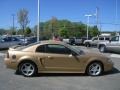 2000 Sunburst Gold Metallic Ford Mustang GT Coupe  photo #6