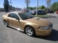 Sunburst Gold Metallic 2000 Ford Mustang GT Coupe Exterior