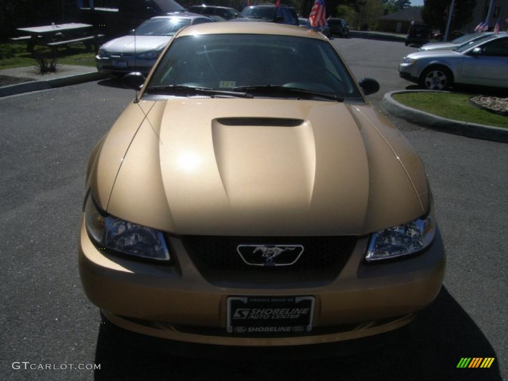 2000 Mustang GT Coupe - Sunburst Gold Metallic / Dark Charcoal photo #8