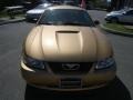 2000 Sunburst Gold Metallic Ford Mustang GT Coupe  photo #8