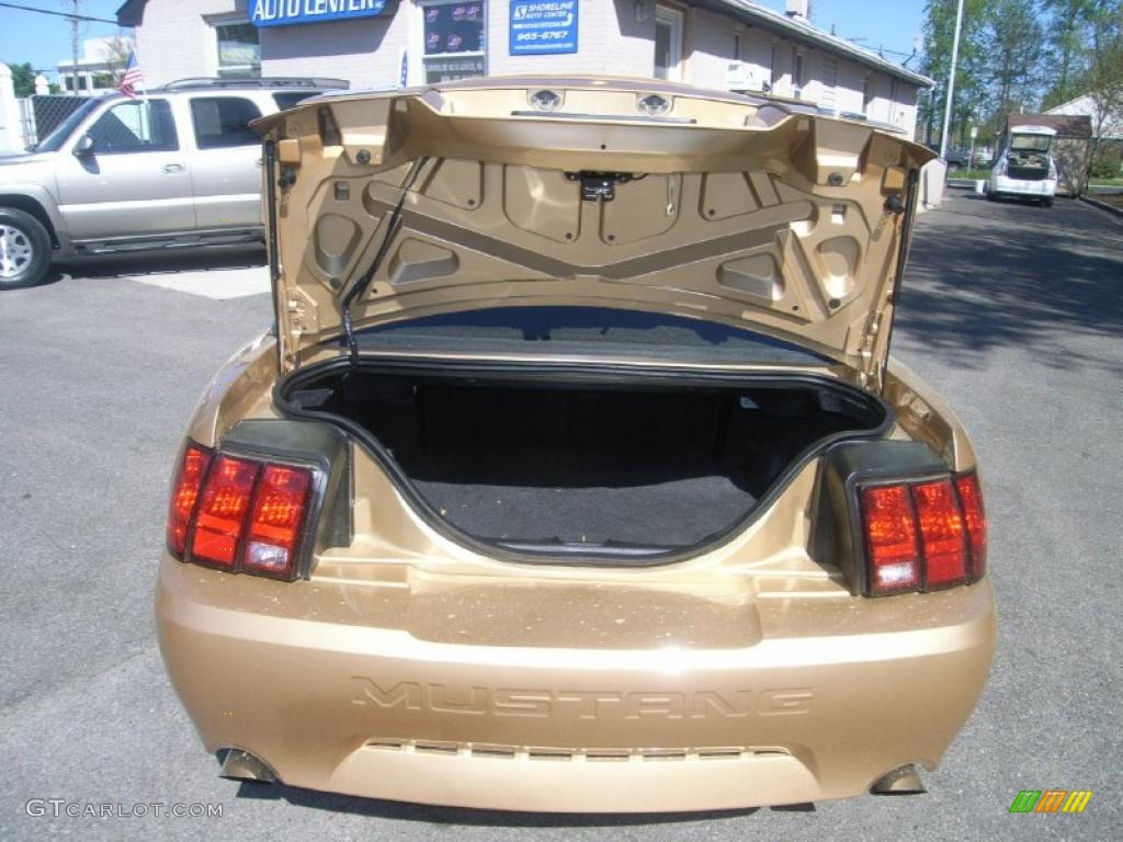 2000 Mustang GT Coupe - Sunburst Gold Metallic / Dark Charcoal photo #11