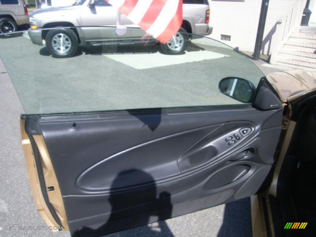 2000 Ford Mustang GT Coupe Dark Charcoal Door Panel Photo #48052196
