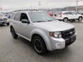 Ingot Silver Metallic 2010 Ford Escape XLT V6 Sport Package 4WD Exterior