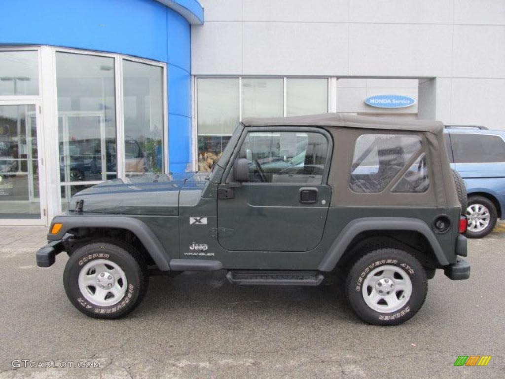 2003 Wrangler X 4x4 - Shale Green Metallic / Khaki photo #3