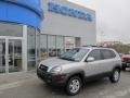 Platinum Metallic - Tucson SE 4WD Photo No. 1