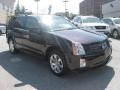 Black Cherry - SRX 4 V6 AWD Photo No. 4