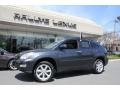 Smokey Granite - RX 350 AWD Photo No. 1